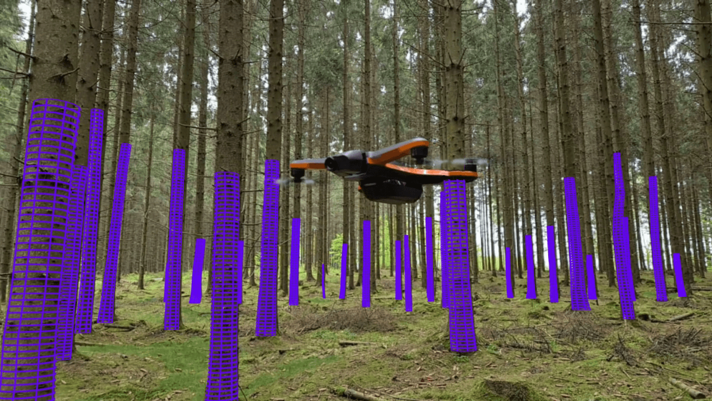 Almi Invest investerar i Katams digitala skogsvård