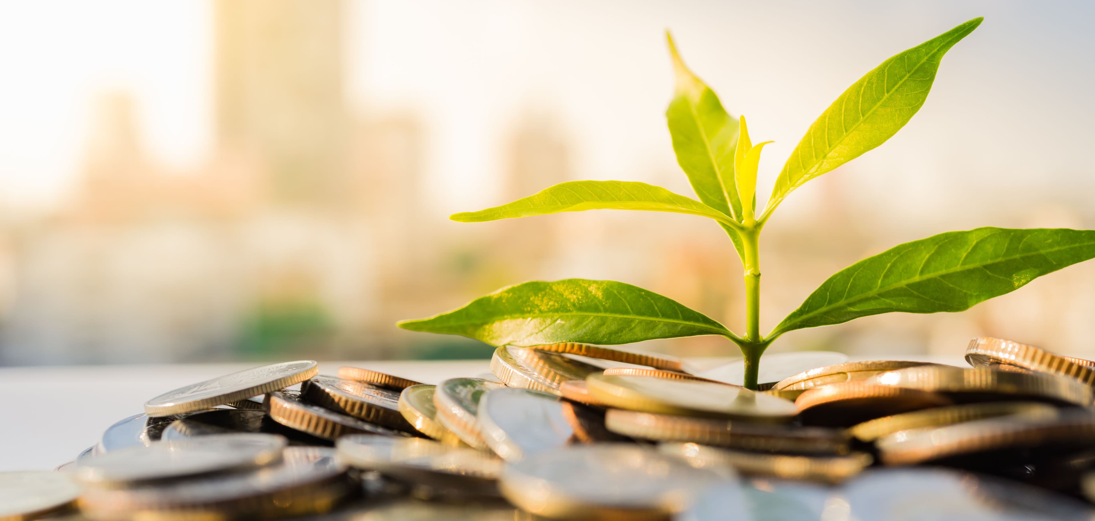 ALM Equity AB (publ) tillförs 342 miljoner kronor genom en riktad nyemission av 3 000 000 preferensaktier