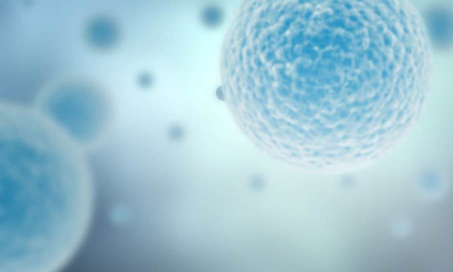 BIO-WORKS PÅ VÄG TILL FIRST NORTH - BN