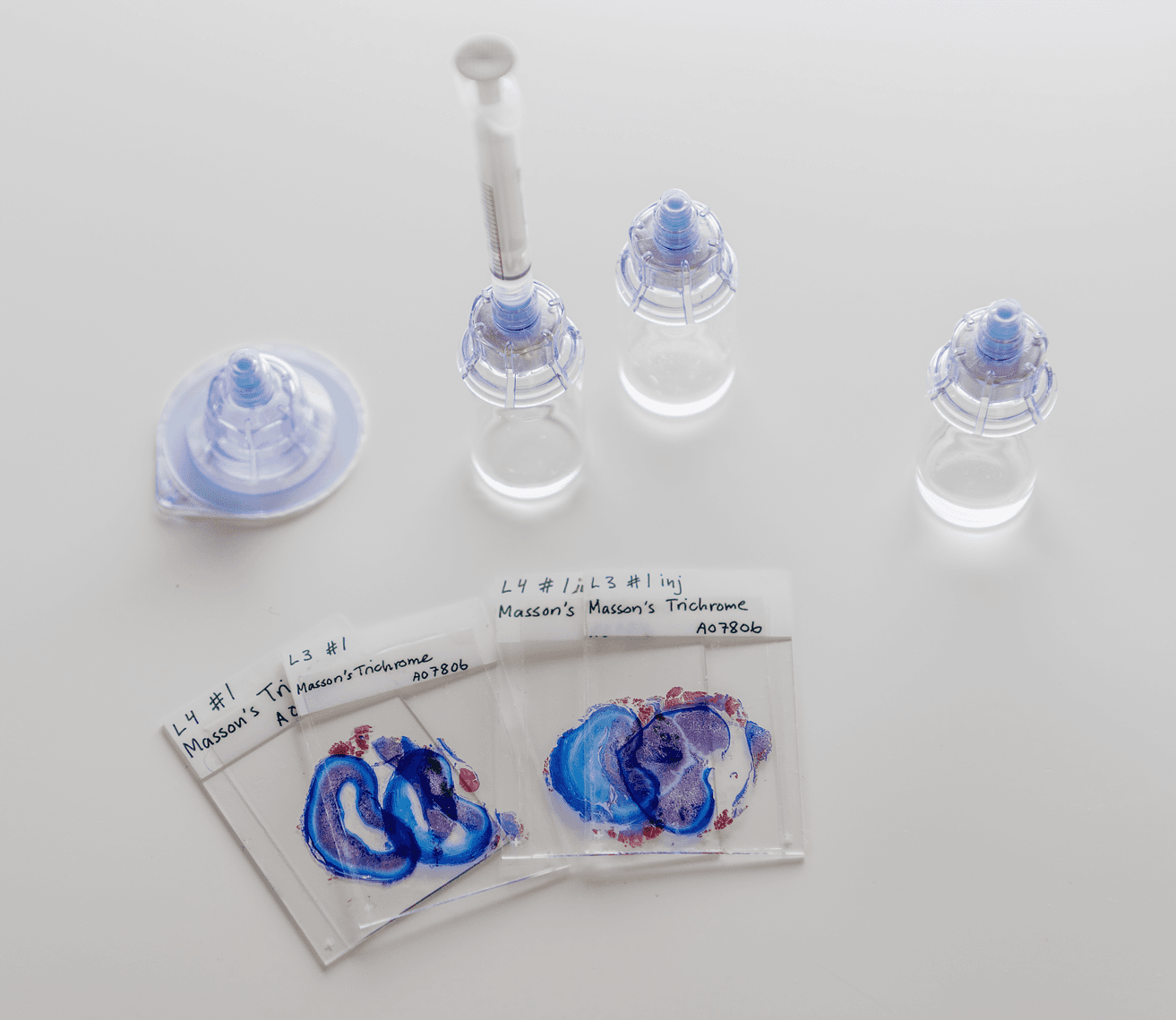 IPO Stayble Therapeutics